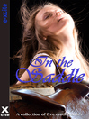 In the Saddle (eBook): A collection of five erotic stories